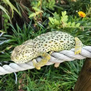 Casa Do Cerro Вилла *